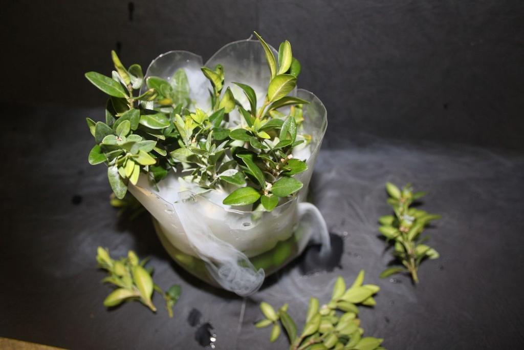兰迪格福索末菲尔德酒店 普拉格耶纳茨 外观 照片